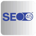 SEO45™ AI logo